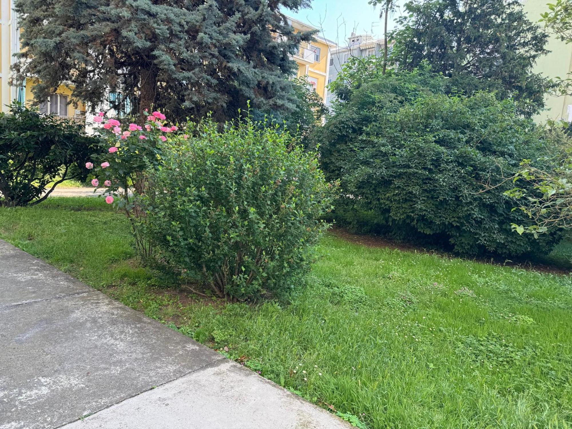 Casa Grivola 29 Lägenhet Vercelli Exteriör bild